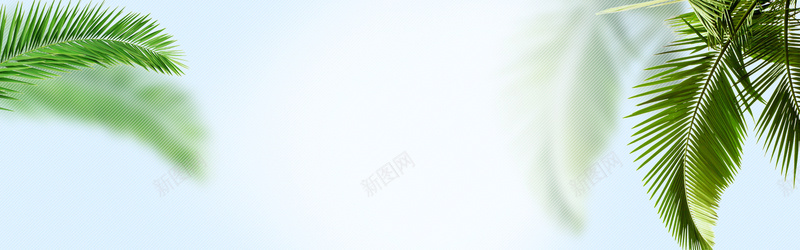 绿色植物psd_新图网 https://ixintu.com 摄影 树叶 海报banner 背景墙 蓝色 风景