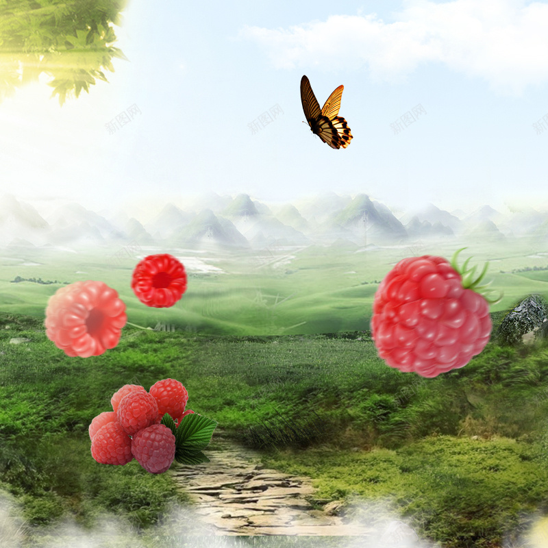 树莓保健品食品风景主图psd_新图网 https://ixintu.com 主图 保健品 健康 摄影 树莓 直通车 草地 蝴蝶 风景 食品