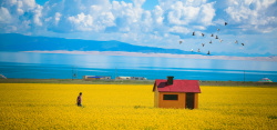 油画蓝天白云背景油菜花文艺油画大气蓝天白云banner高清图片