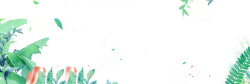 棕桐热带植物banner高清图片