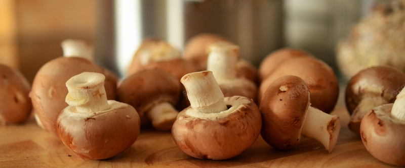 口菇新鲜圆菇摄影图片