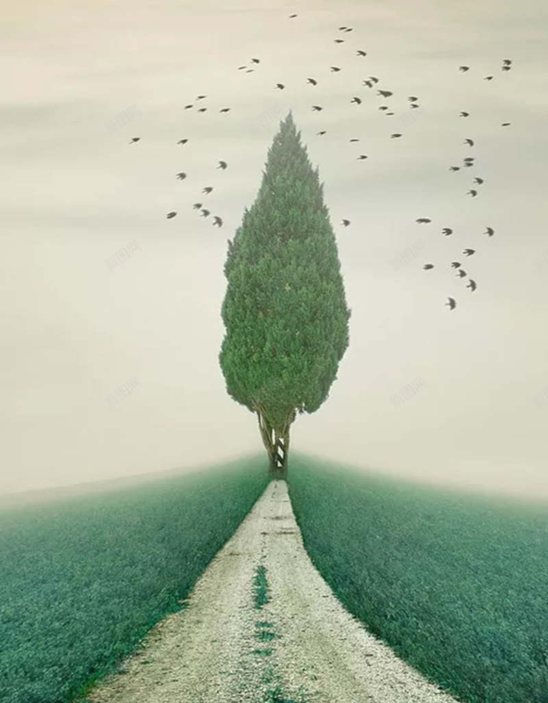 创意个性海报背景psd设计背景_新图网 https://ixintu.com 创意 向往 呼吸 小鸟 幻想 憧憬 绿树 自然 自由 风景