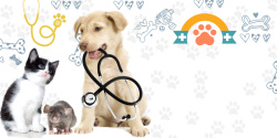宠物狗脚印创意可爱宠物店广告海报背景高清图片