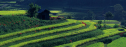 清新乡村旅游清新乡村田园摄影背景高清图片