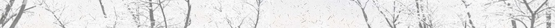 冬天冬季节气小雪psd设计背景_新图网 https://ixintu.com 下雪 入冬 冬天 冬季 卡通 小雪 手绘 海报 节气 落叶 雪花 霜降