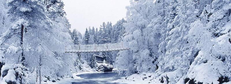 洁白的世界psd_新图网 https://ixintu.com 摄影 海报banner 雪景桥冰雪森林 风景