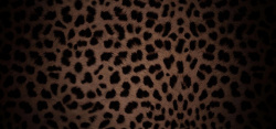 棕色动物皮毛背景图片豹纹高清图片