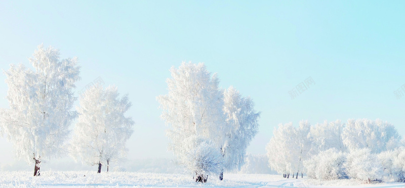 冬季雪景蓝天白云雾凇背景图摄影图片
