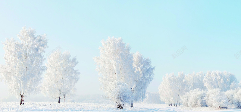 冬季雪景蓝天白云雾凇背景图jpg_新图网 https://ixintu.com 冬季 摄影 海报banner 白云 背景图 蓝天 雪景 雾凇 风景