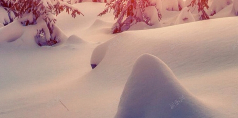 彩色雪景jpg_新图网 https://ixintu.com 彩色 摄影 树 阳光 雪 风景