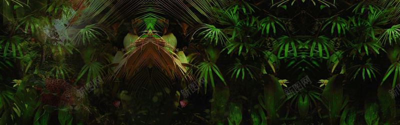 绿色丛林叶子banner摄影图片