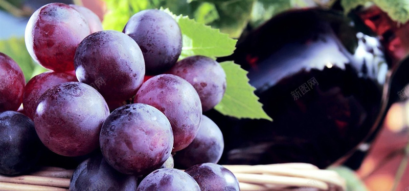 大葡萄叶葡萄水果葡萄酒背景摄影图片
