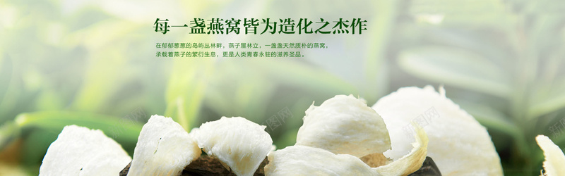 绿色燕窝bannerpsd设计背景_新图网 https://ixintu.com 小清新 文艺 海报banner 燕窝 环保 简约 绿色 美食 舌尖上的美食