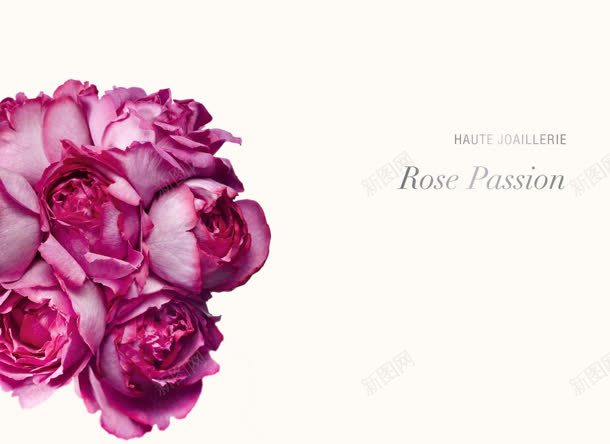 粉白色花朵珠宝海报jpg设计背景_新图网 https://ixintu.com 海报 珠宝 粉白色 花朵