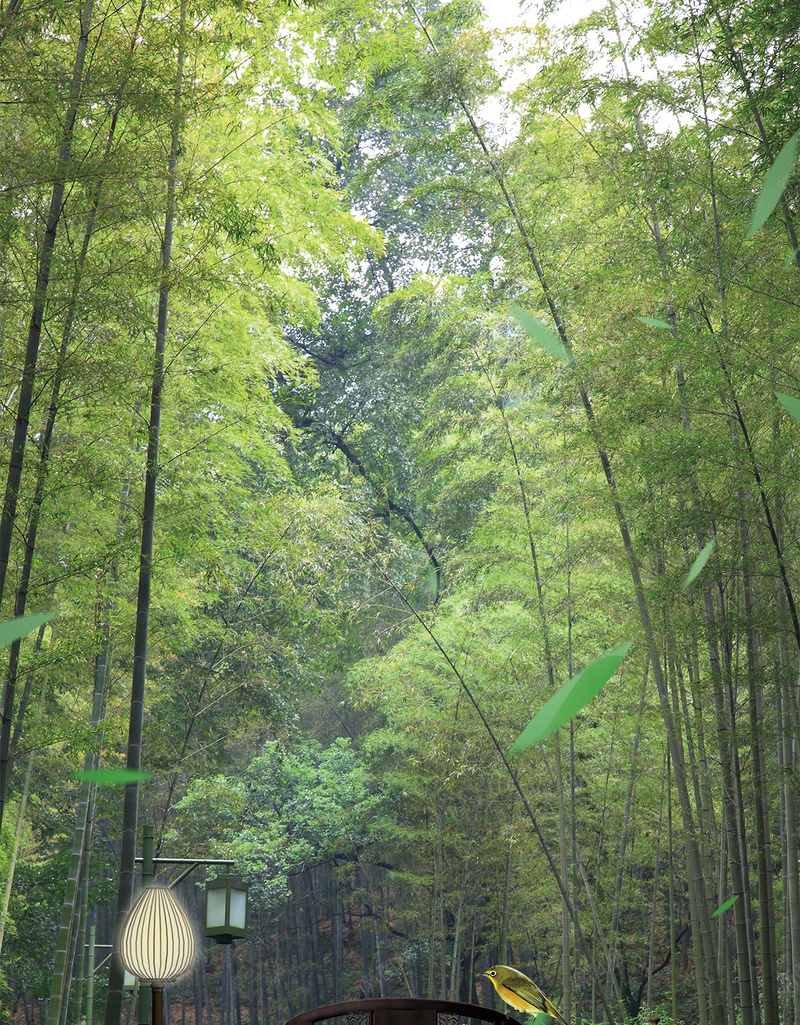 竹林大自然木质家具背景psd设计背景_新图网 https://ixintu.com H5 分层 大自然 家具 木质 森林 竹林 素材 背景