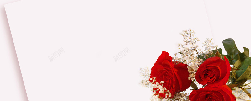 红色玫瑰信纸背景图jpg_新图网 https://ixintu.com 信纸 摄影 浪漫 海报banner 满天星 玫瑰 红色 花朵 风景
