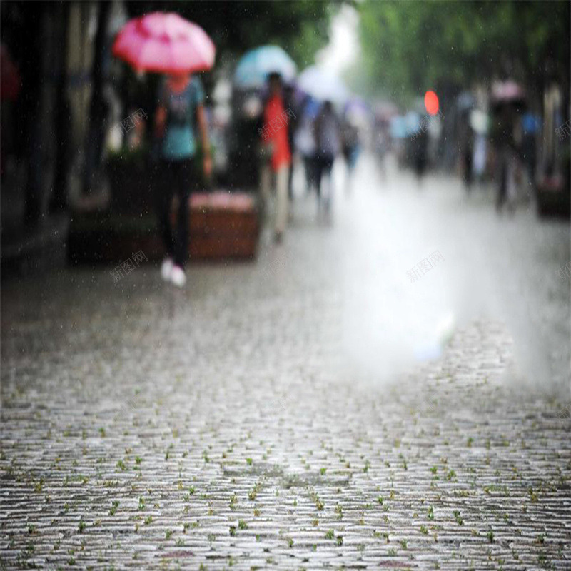 街道摄影首图psd_新图网 https://ixintu.com 主图 摄影 街道 雨花 风景
