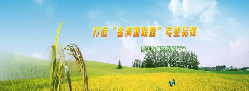 农业丰收psd设计背景_新图网 https://ixintu.com 农业丰收 摄影 海报banner 风景 麦田