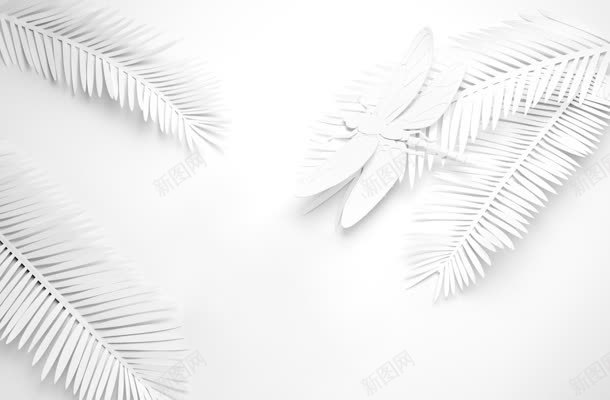 白色叶子蜻蜓植物昆虫jpg设计背景_新图网 https://ixintu.com 叶子 昆虫 植物 白色 蜻蜓