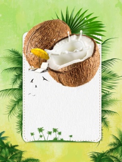 平面椰子素材夏天椰子高清图片