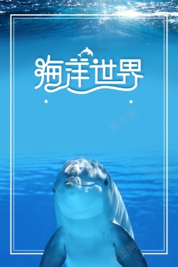 平面海豚素材海洋世界背景模板高清图片