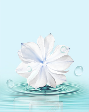 浅蓝色花朵水纹简单背景背景