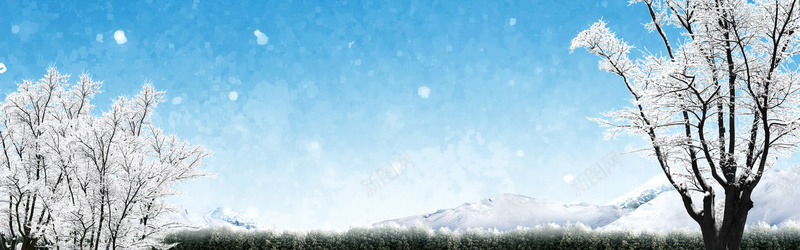 冬天雪景雪松背景psd_新图网 https://ixintu.com 冬天 摄影 海报banner 雪景 雪松 风景