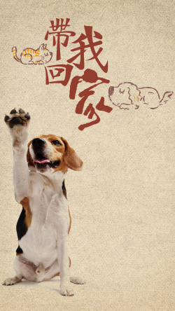 举手之劳简洁明了的宠物领养公益H5高清图片