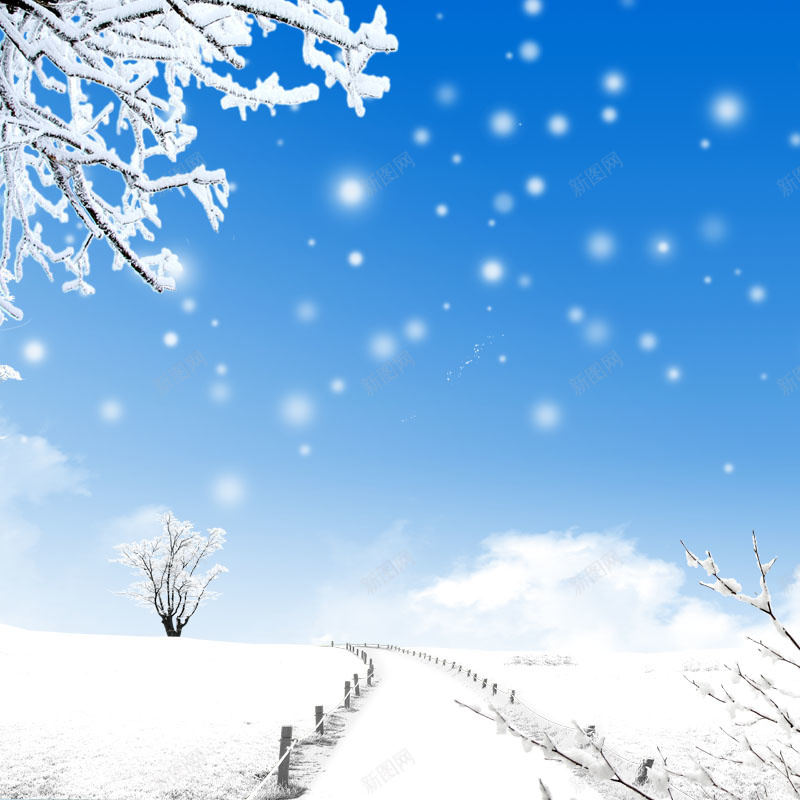 冬季雪景psd_新图网 https://ixintu.com 主图 冬季 冰雪树枝 摄影 雪景 风景