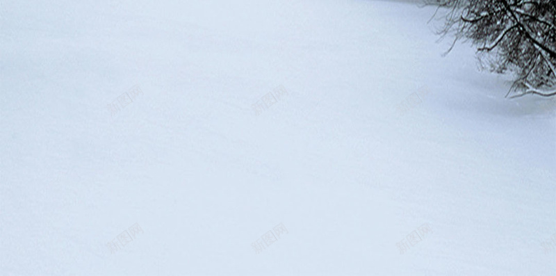 冬季雪景H5背景jpg设计背景_新图网 https://ixintu.com H5背景素材 中国风 冬季景色 展架 白雪 简约 雾凇 风景
