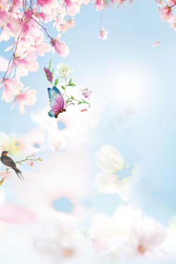 春意怏然唯美花瓣二十四节气之春分节气海报高清图片