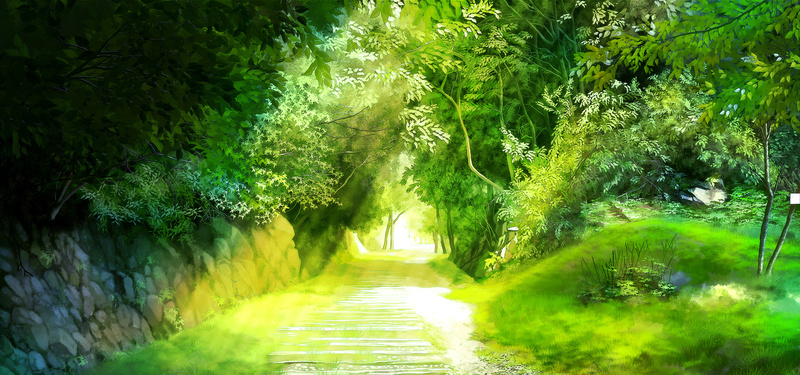 公园植物背景jpg_新图网 https://ixintu.com 公园 摄影 植物 海报banner 绿色背景 道路 风景