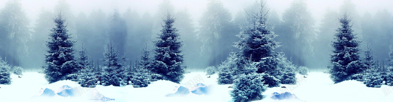 冰雪banner背景psd_新图网 https://ixintu.com 冬天 冰雪 大树 摄影 森林 海报banner 风景