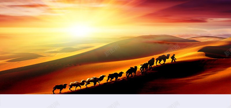 企业文化背景psd_新图网 https://ixintu.com 企业文化 开心 摄影 文化背景 沙漠 风景 骆驼 黄昏