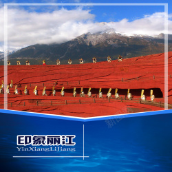 旅游局印象丽江旅游宣传背景高清图片