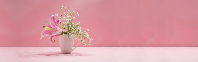 花朵盆栽背景摄影图片