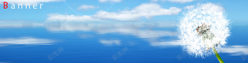 蒲公英蓝天白云湖面倒影淘宝网站背景图摄影图片