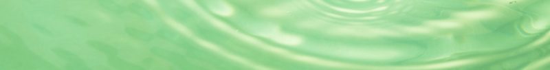 绿色天空水生态水滴绿叶jpg设计背景_新图网 https://ixintu.com 天空 水滴 水生态 绿叶 绿色
