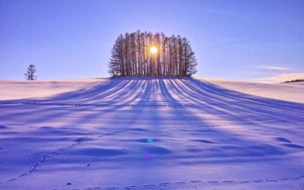 唯美创意树林雪地日出背景
