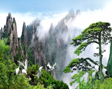 松树中国风电视墙背景背景