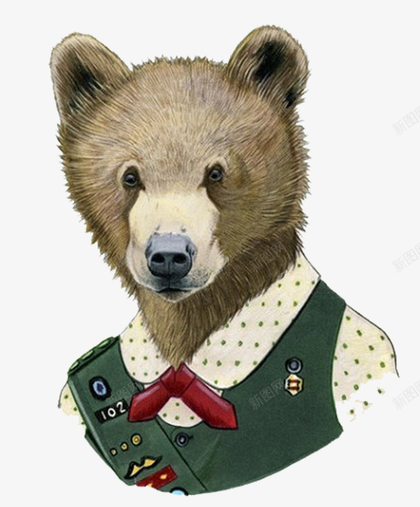 手绘动物png免抠素材_新图网 https://ixintu.com 写实 头像 彩绘 拟人动物 棕熊