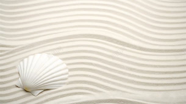 白色简约沙滩贝壳jpg设计背景_新图网 https://ixintu.com 沙滩 白色 简约 贝壳