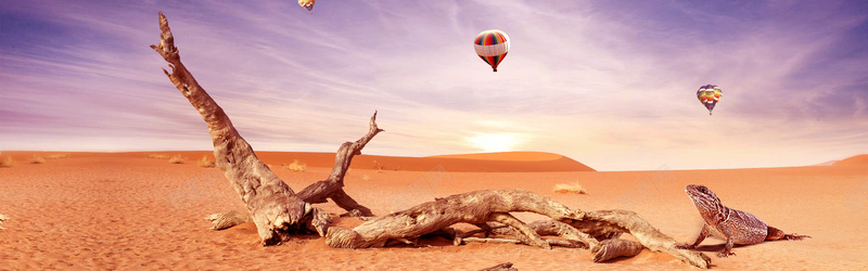 枯树枝热气球背景摄影图片