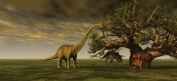 历史遗址史前恐龙背景高清图片