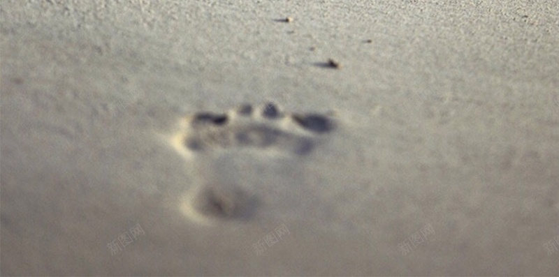 海滩上的脚印H5背景jpg_新图网 https://ixintu.com H5 h5 倒影 摄影 沙滩 灰色 脚 脚印 风景