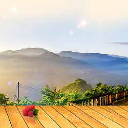 木地板摄影木地板观景台高清图片