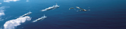一只飞翔的海鸥摄影航母出行大海蓝色背景图高清图片