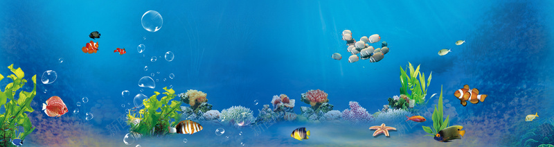 海洋生物背景psd_新图网 https://ixintu.com 摄影 水泡 海带 海报banner 海洋 生物 风景 鱼群