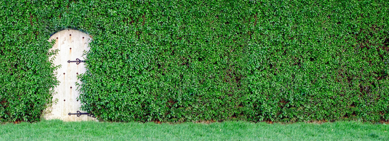 绿植覆盖墙面露木门背景