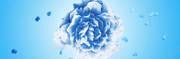 蓝色花朵背景海报jpg设计背景_新图网 https://ixintu.com 大自然 大自然清新 花 花朵 花朵花瓣 花瓣 蓝色背景 高清